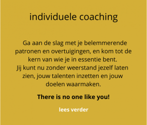 individuele coaching